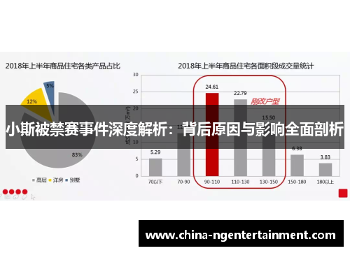 小斯被禁赛事件深度解析：背后原因与影响全面剖析
