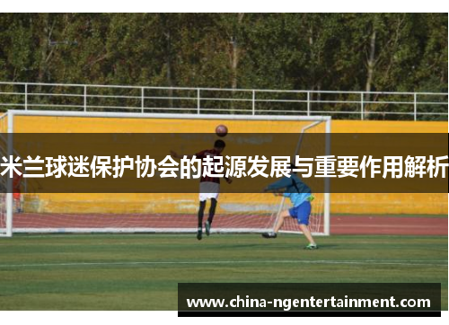 米兰球迷保护协会的起源发展与重要作用解析