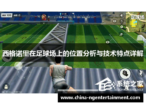 西格诺里在足球场上的位置分析与技术特点详解