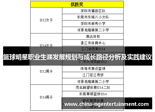 篮球明星职业生涯发展规划与成长路径分析及实践建议