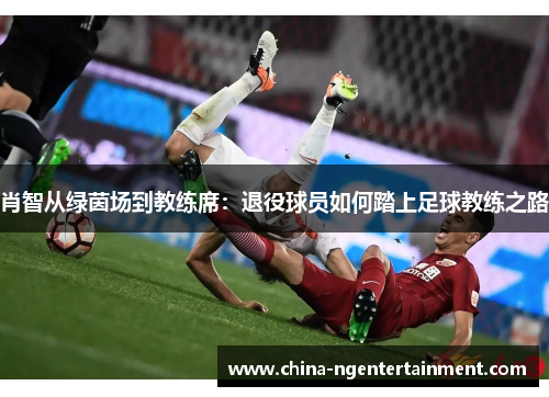 肖智从绿茵场到教练席：退役球员如何踏上足球教练之路