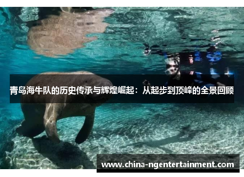 青岛海牛队的历史传承与辉煌崛起：从起步到顶峰的全景回顾